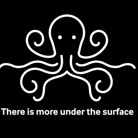 octopus